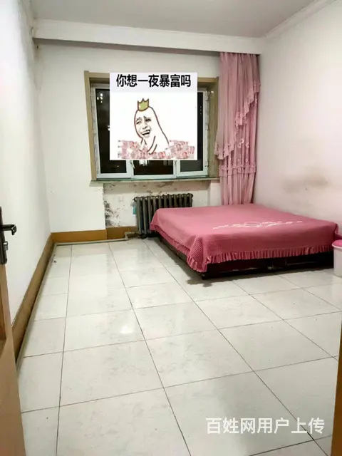 出租 ，六小学区五楼，52 - 图片 2
