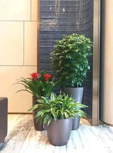 广州办公室绿植租凭，园林绿化外包，绿植出售 - 图片 4