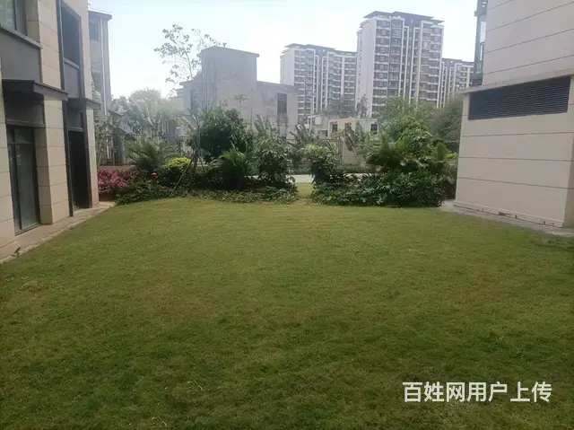 （51旺铺推荐）绿地城江首府195平上下两层急租 - 图片 5