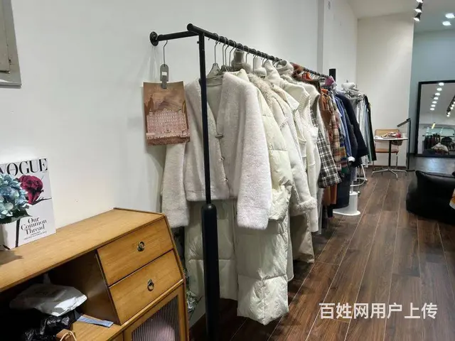 （兴铺）园艺山高端小区临街精装服装店转让 - 图片 4