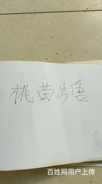 桃树出售 - 图片