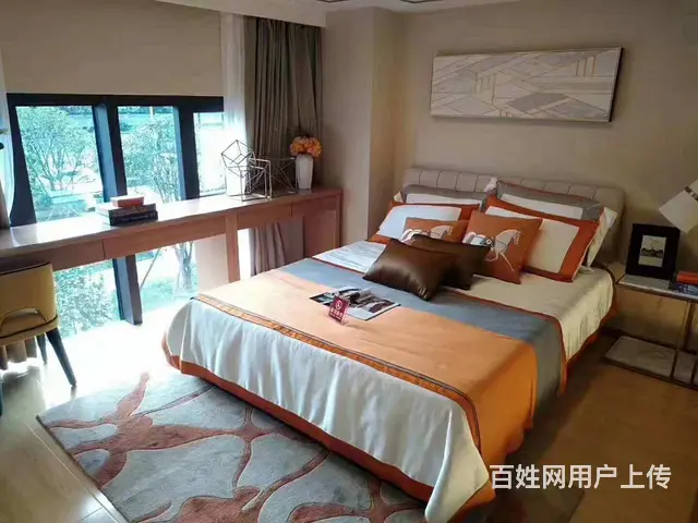 开发商直销 南站地铁口200米 两房 总价90万起 - 图片 7
