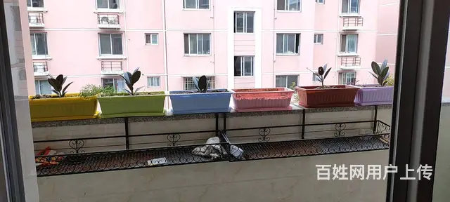 朝辉小区 普通住宅2厅 精装修 - 图片 6