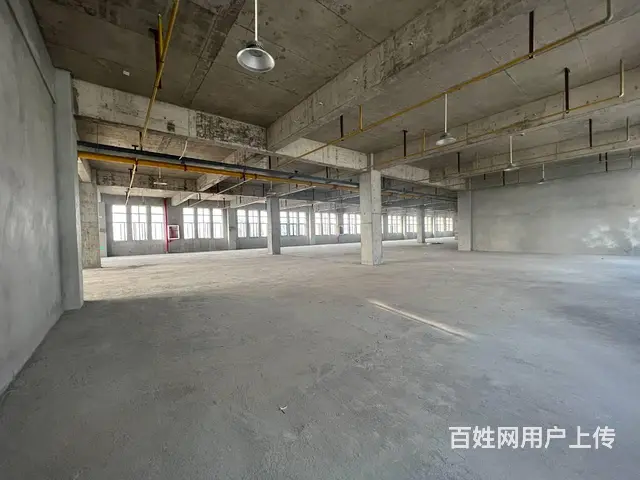 非中介 自有宜昌高新区厂房办公优惠租单层独栋都有 交通便利 - 图片 7