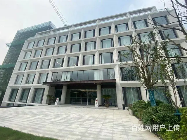 青洋高架旁 金新科创园 适合企业 会所 企业税收优惠政策 - 图片 6
