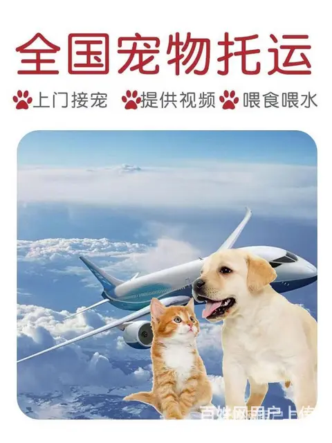 推荐） 莱阳宠物托运到全国）（猫狗）邮寄快递（宠物活体运输） - 图片 1