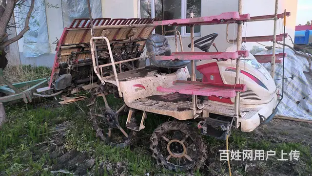13年的羊马，换八行了 - 图片 1