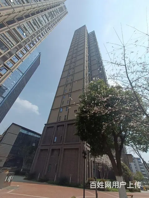 正堂山外山 居家精装 全屋暖气 拎包入住 岳家嘴 - 图片 12