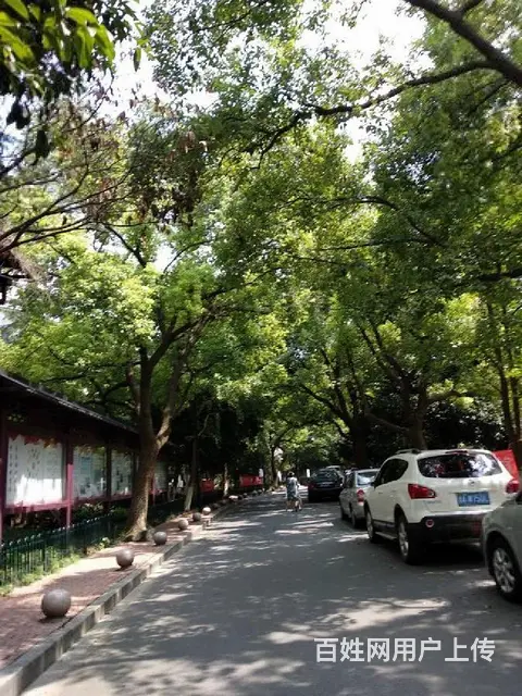 紧急出租翠苑一区精装修南北 - 图片 8