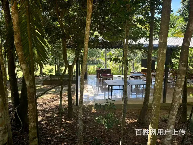 （51旺铺推荐）吉阳区大茅3000平露营基地转让 - 图片 8