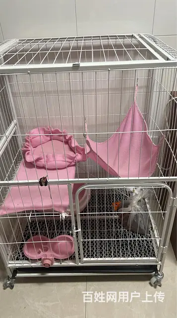 猫笼子及用品 - 图片 2