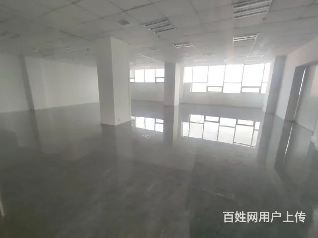 和平丨领事馆对面丨277平纯写丨12万含物业丨富中 南市场 - 图片 7
