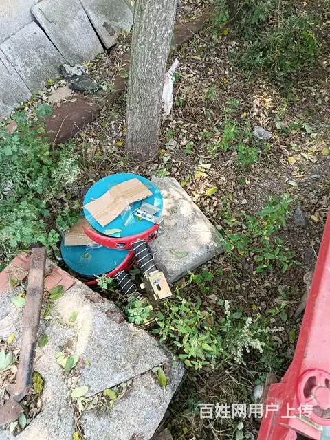 小托用播种 - 图片 5