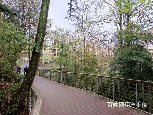 江津东胜避暑房 - 图片 6