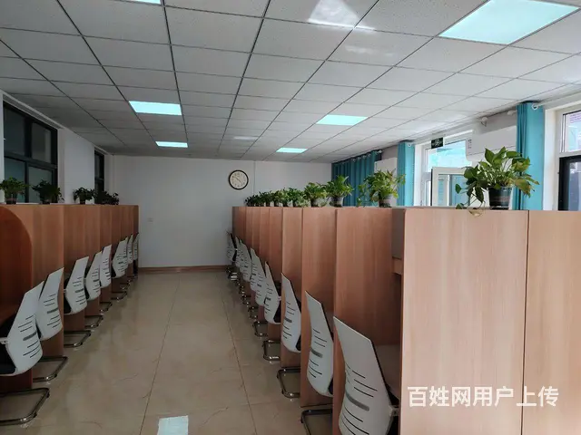 （兆丰）宁家结庄沿街小院出售！可居住可经营 无中介费 - 图片 8