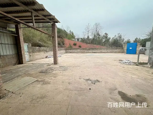 （老板本人）岳麓区含浦整栋房屋出租，独院场地出租  6050 - 图片 4