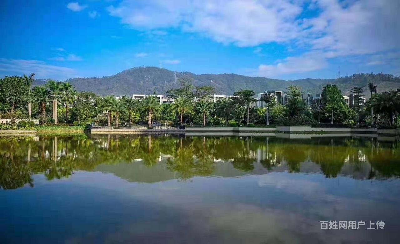 深圳北站18分钟 雅居乐花园 学位房送豪华装修