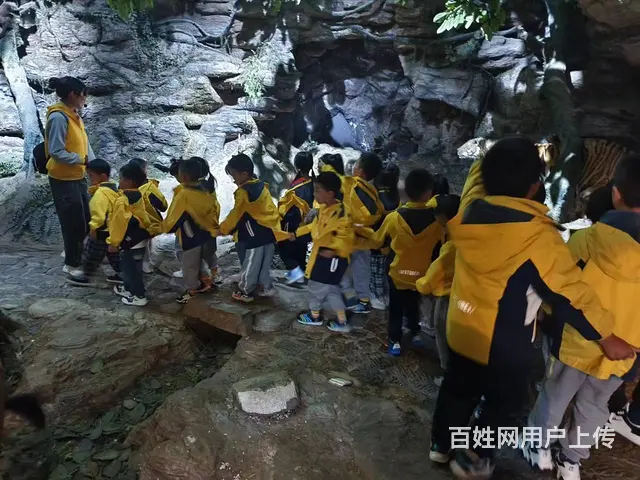 昆明官渡区好的幼儿园	选去昆明睿思幼儿园 - 图片 3