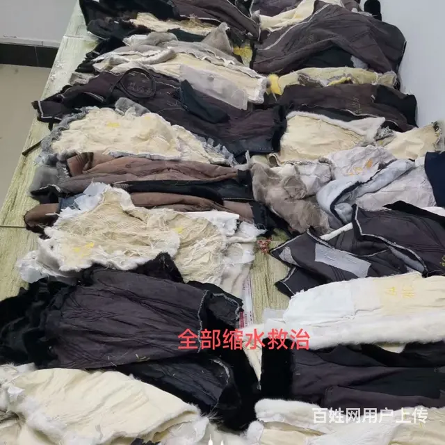合肥干洗店技术培训.洗衣洗鞋皮具护理培训 - 图片 5