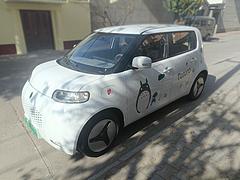 欧拉 白猫 2020款 360km 豪华型