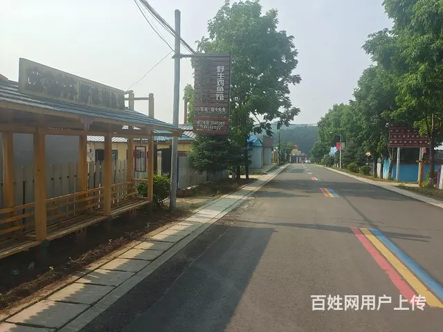 红旗林场主道边小院急卖 - 图片 1
