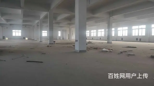 古里13440平，可分租，场地大，可快递，物流，贸易公司等。 - 图片 10