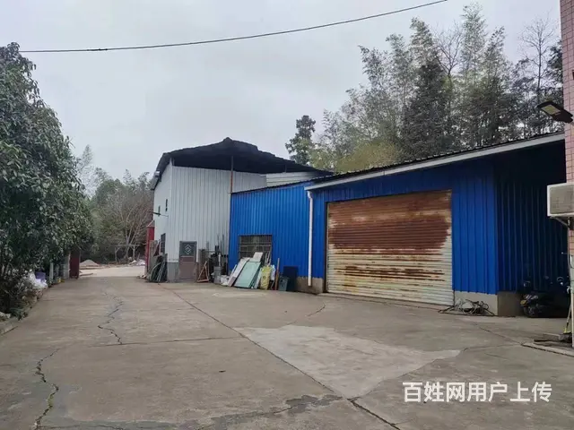（老板本人）开福区捞刀河街道厂房/仓库房东优价出租 6403 - 图片 3