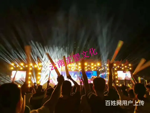礼仪庆典、展会活动、舞美搭建、灯光音响、演出表演 - 图片 10