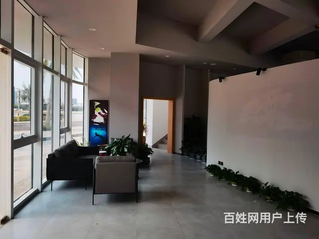 （51旺铺推荐）碧桂园中央半岛（独栋精装办公楼）出租 - 图片 4