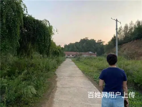 丰满旺起山庄水库出租出售，丰满坝上土地出售 - 图片 5