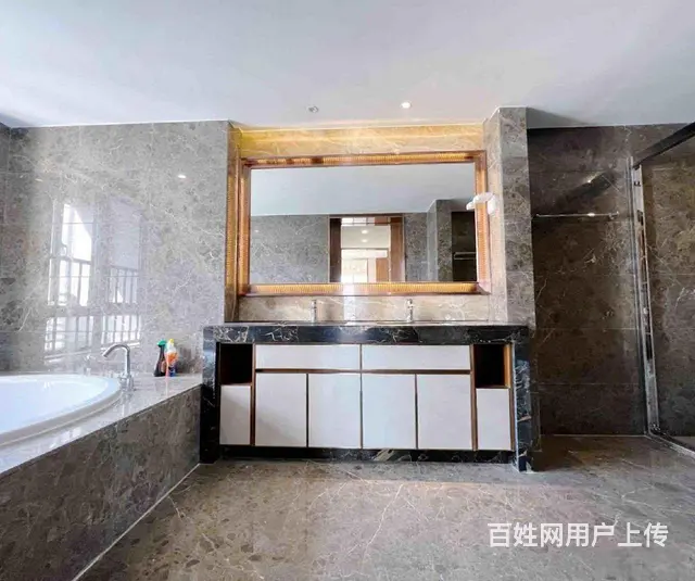 南湾区 中信红树湾南区 精装修 拎包入住 高层河景 - 图片 10