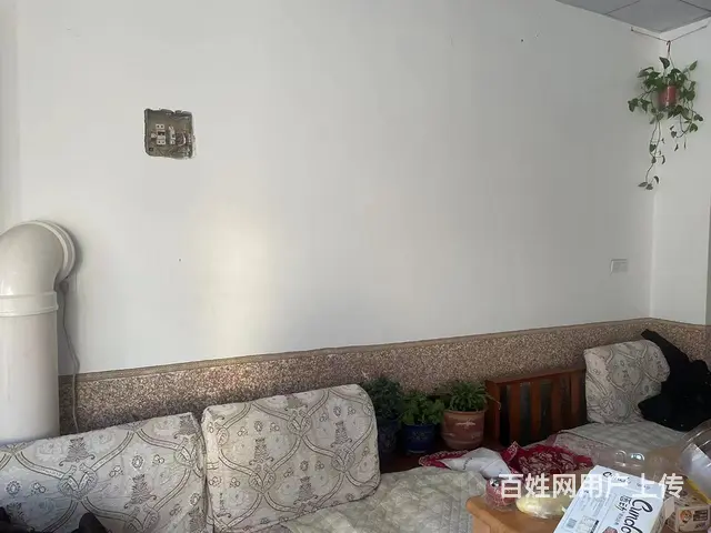 【搞定了！】经区豪业圣迪附近临街旺铺出租 - 图片 7
