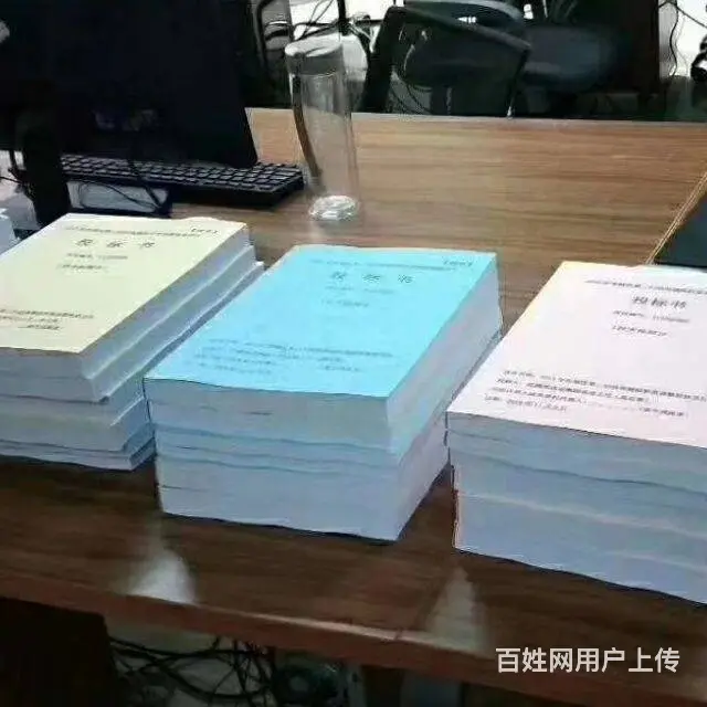 专业代写标书 投标文件制作 电子投标 电子标书上传 - 图片 4