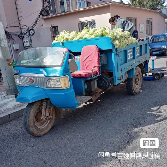 出售各种时风五征三轮车。 - 图片 1