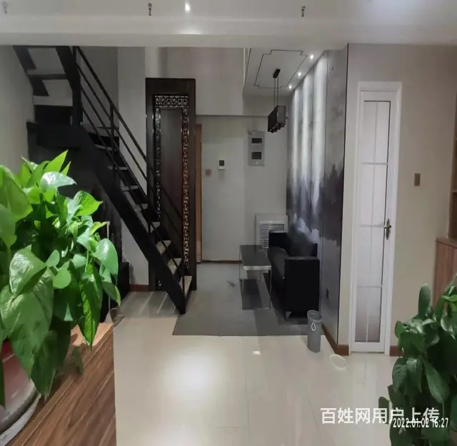 骨折价！泉舜186精装240平280平500平 多种面积可选 - 图片 5