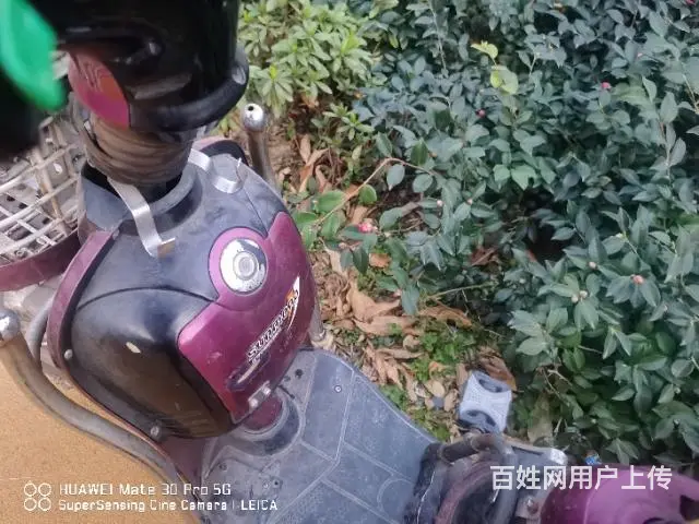 圣宝龙电动车 - 图片 3