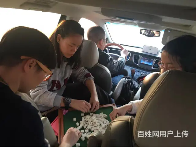 新疆旅游包车租车独立小团 - 图片 4