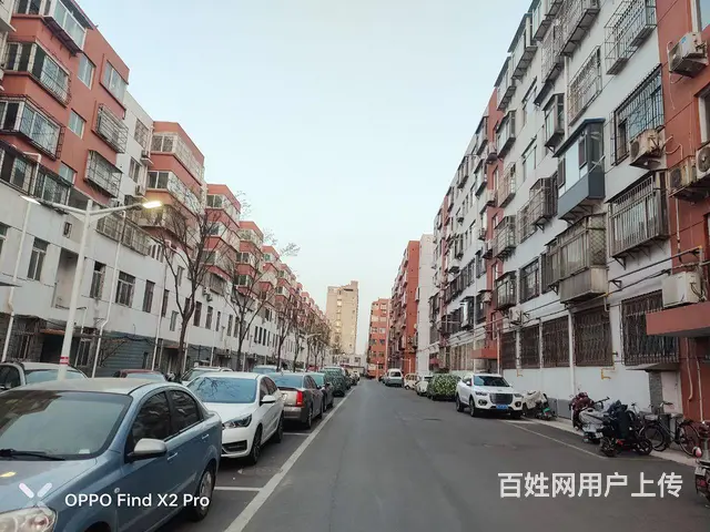 迎春园 - 图片 5