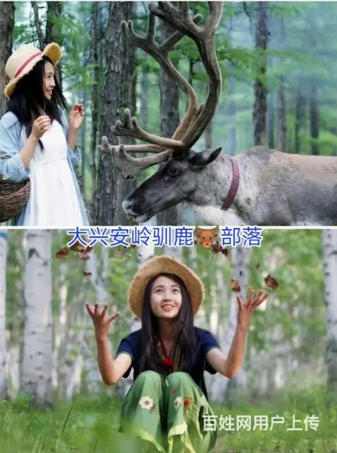 内蒙古呼伦贝尔大草原旅游包车排名户外团队 - 图片 6