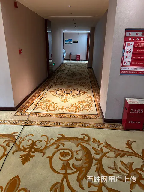 专业永州道县宁远片区各大酒店工厂地毯清洗，地板清洗 - 图片 2