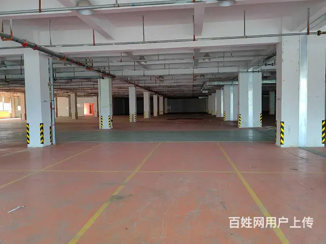 高新区高架8000平，可分租，形象好，有坡道，汽车可开上楼。 - 图片 8