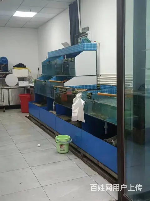 （老板本人）长沙县繁华商圈，网红中茂城精装海鲜水产店低价转让 - 图片 4