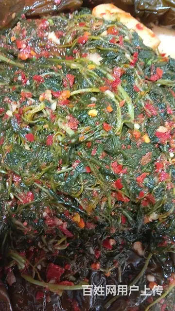 新华市场吉峰辣白菜急兑 - 图片 8