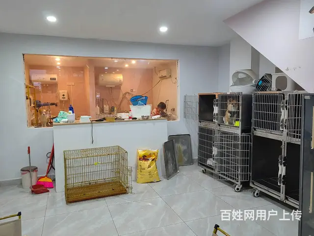 （51旺铺推荐）保利中央海岸熙园150平宠物店转让 - 图片 10