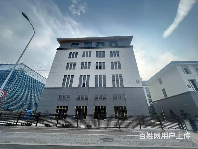 自有全新园区招租 单层独栋 多面积段 业态不限 欢迎咨询看房 - 图片 4