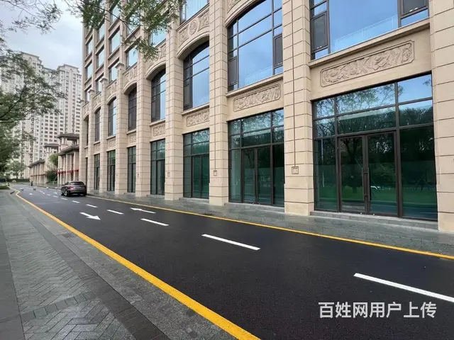 星河湾高端社区臻稀金铺 - 图片 2