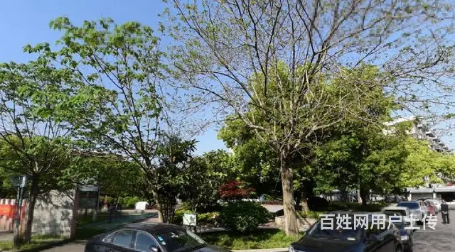 景芳四区两室一厅中间楼层运河印象东升市场新塘地口天虹银泰庆春 - 图片 12