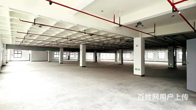 德清新市镇新建30000方厂房标准出租（1600方起租） - 图片 5
