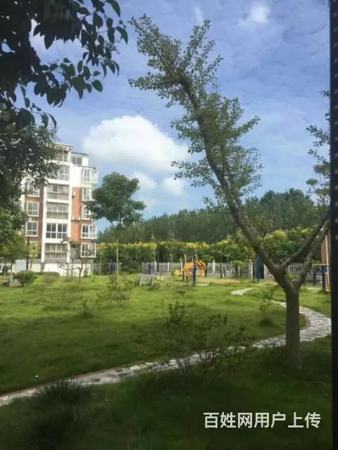 首付二万，首付二万，首付二万，70年纯住宅
位于： - 图片 4
