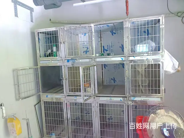 （51旺铺推荐）海螺天悦湖畔70平宠物店转让 - 图片 5